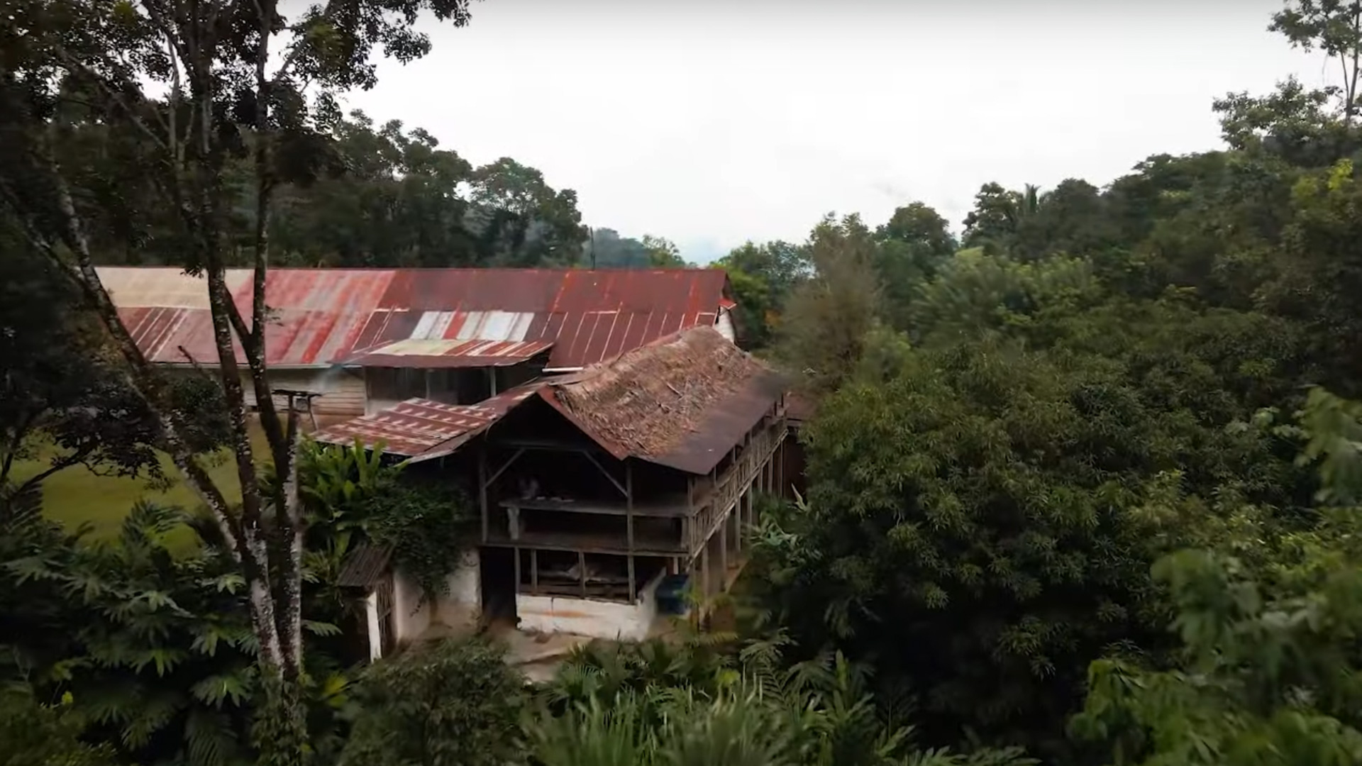 Finca El Porvenir, Guatemala