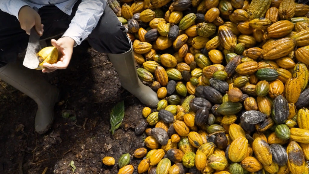 Extracting seeds