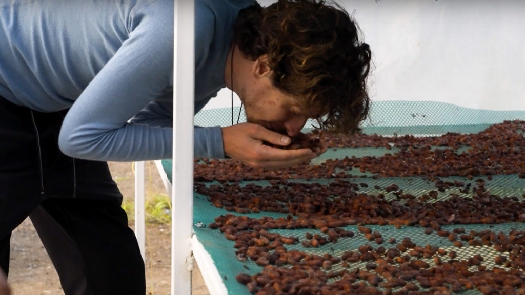 Inspecting while drying