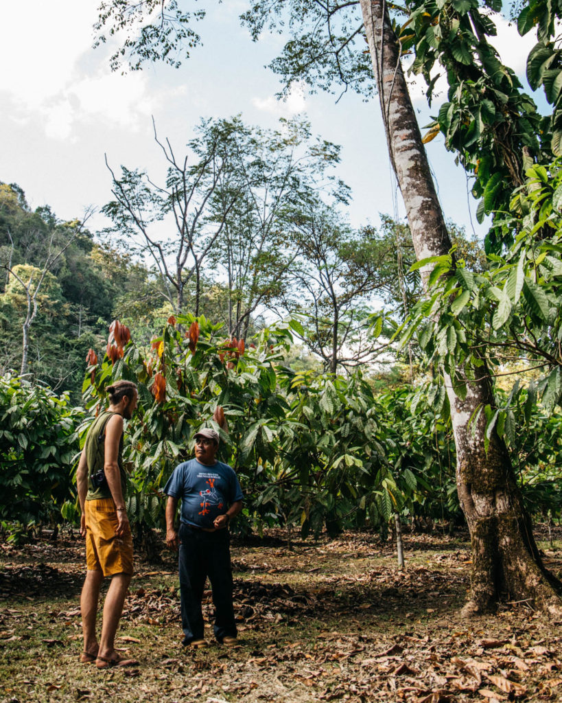 Ora Cacao - Jonas In Belize