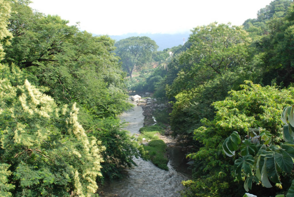 cOLOMBIA RAINFOREST