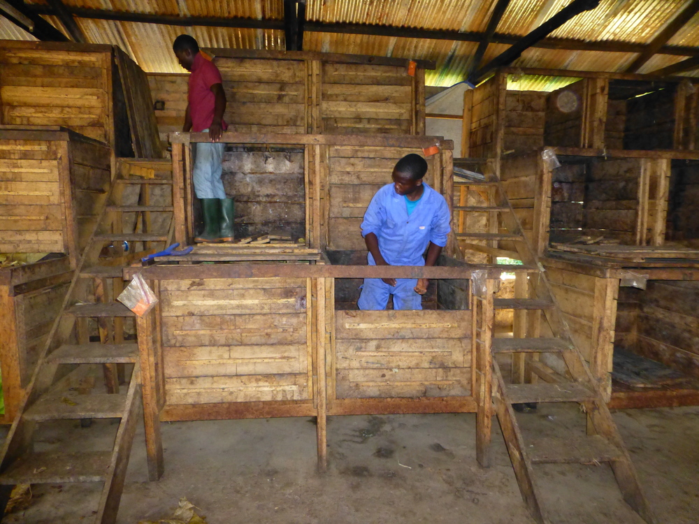 Kokoa Kamili, Wooden boxes of the fermentary