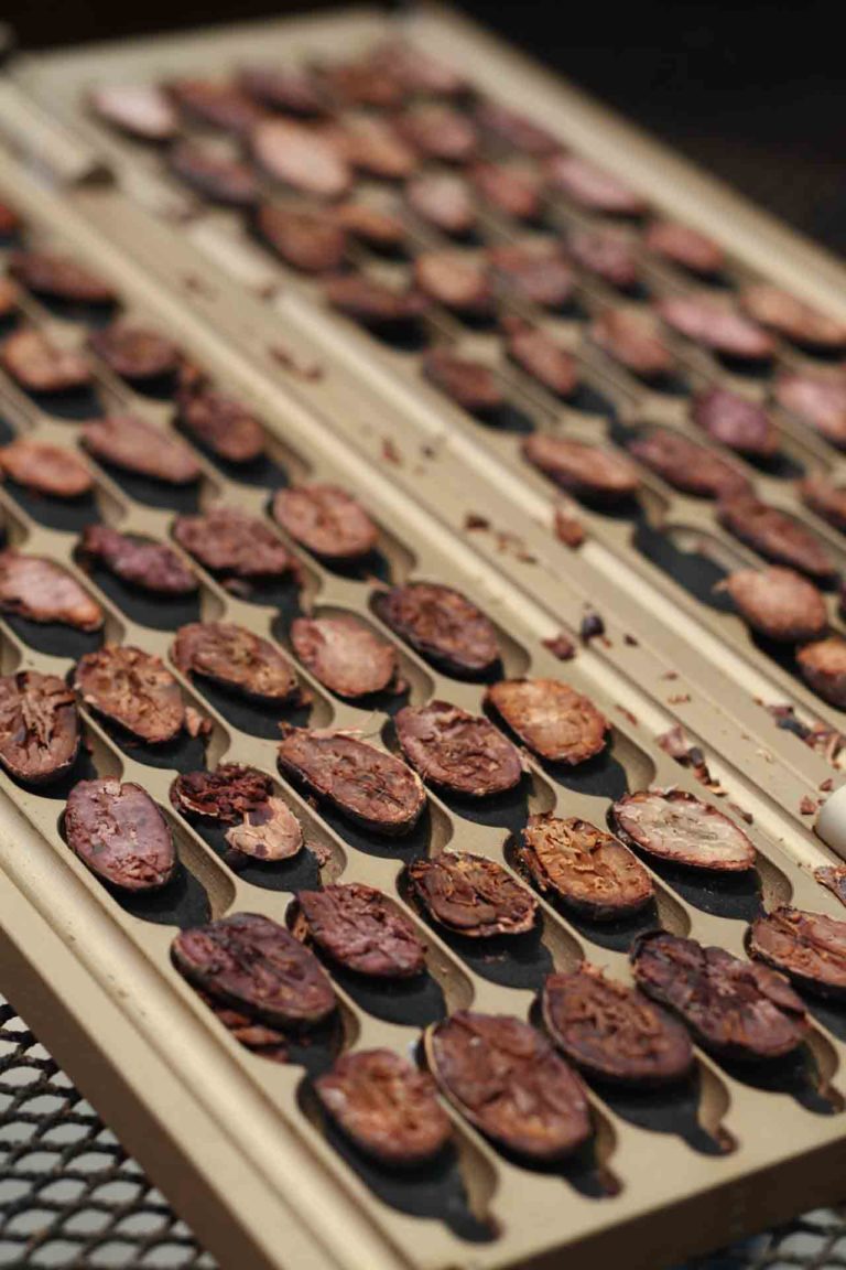 Vai Cacao Atehuan cutting test beans