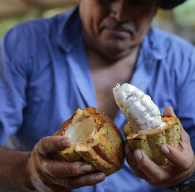 Vai Cacao Lenca La Carrera open pod