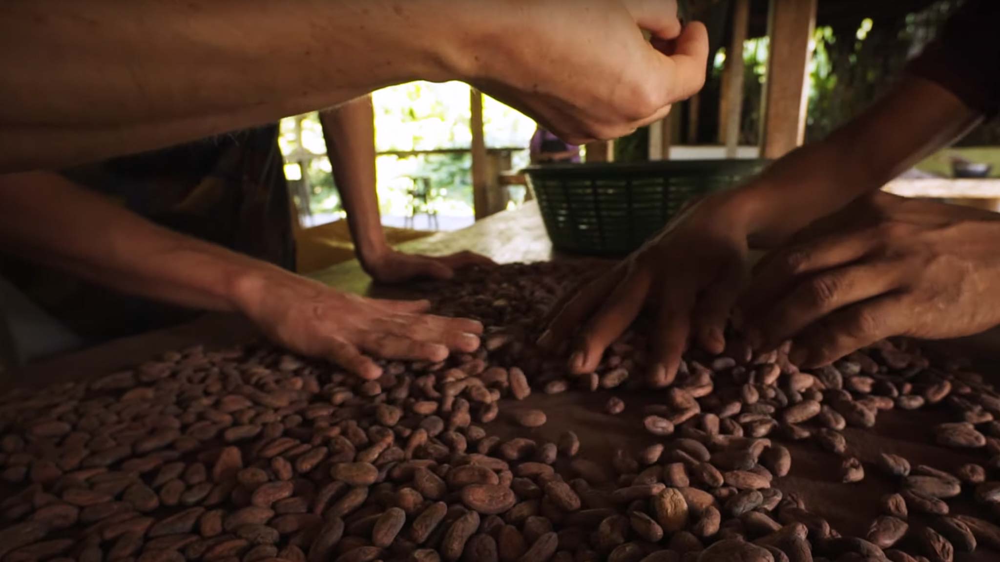 Reviewing dry beans