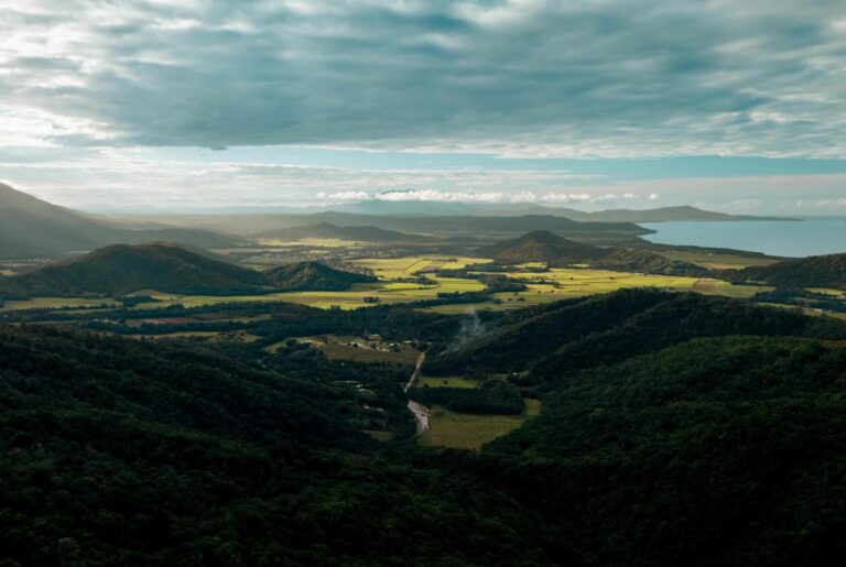 Daintree National Park
