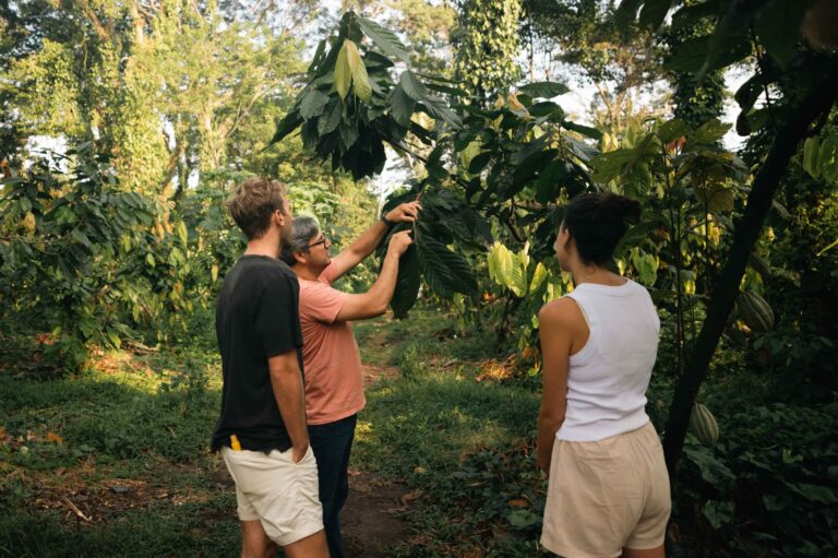 Alistair, José & Rose
