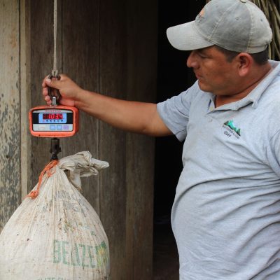 Weighing cacao bags
